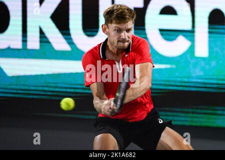 Hamburg, Deutschland. 16. September 2022. Der Belgier David Goffin im Einsatz bei einem Spiel zwischen der deutschen Otte und dem Belgier Goffin, dem zweiten Spiel zwischen dem belgischen Team und Deutschland, in der Gruppe C der Gruppenphase des Davis-Cup-Finales 2022, Freitag, 16. September 2022, in Hamburg, Deutschland. Belgien tritt vom 13. Bis 18. September gegen Australien, Deutschland und Frankreich in der Gruppe C. BELGA AN Foto LAURIE DIEFFEMBACQ Quelle: Belga News Agency/Alamy Live News Stockfoto