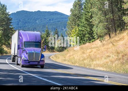 Langstrecke Schwerlast professionelle lila großen Rig Sattelschlepper mit Kühlschrank semi Trailer läuft für die Lieferung auf der Abbiegestraße in Stockfoto