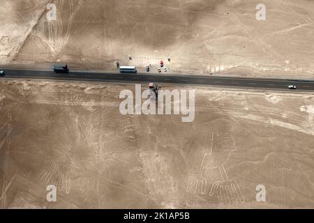 UNESCO-Weltkulturerbe: Nazca Lines in Peru - Hand und Baum am Aussichtsturm Stockfoto