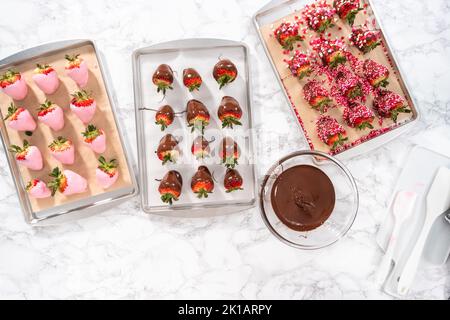 Schokolade getauchte Erdbeeren Stockfoto