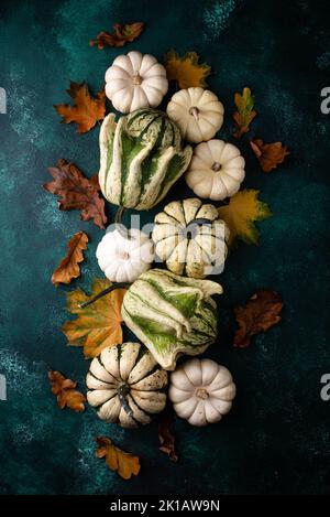 Herbst Hintergrund mit Kürbissen Stockfoto