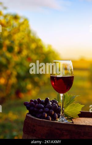 Glas Rotwein und Traube auf altem Holzfass Stockfoto