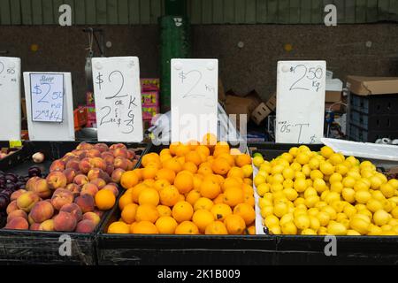 Steine und Zitrusfrüchte (Nektarinen, Orangen, Zitronen) werden an einem Stand auf dem Paddy's Fresh Food Market in Flemington, Sydney, Australien, verkauft Stockfoto