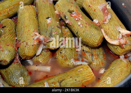 Gefüllte Kürbis, Zucchini, Mark, Mahshi oder Zucchini gefüllt mit weißem Reis, Zwiebeln, Petersilie, Dill und Koriander, selektiver Schwerpunkt der arabischen Ägypter Stockfoto