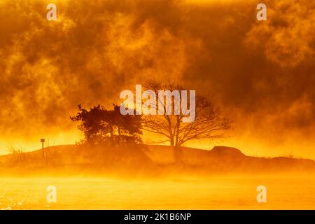 Flammender Sonnenaufgang am Morgen hinter einer felsigen Insel und zwei Bäumen an einem extrem kalten Wintermorgen bei Sonnenaufgang mit Meeresnebel & dramatischen Wolken und eisigem Balti Stockfoto