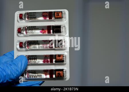 Kairo, Ägypten, September 14 2022: Humalog 100-ml-Lösung zur Injektion in der Kartusche Insulin Lispro zur Behandlung von Diabetes mellitus-Patienten Stockfoto