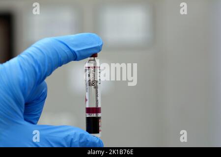 Kairo, Ägypten, September 14 2022: Humalog 100-ml-Lösung zur Injektion in der Kartusche Insulin Lispro zur Behandlung von Diabetes mellitus-Patienten Stockfoto