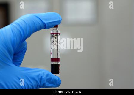 Kairo, Ägypten, September 14 2022: Humalog 100-ml-Lösung zur Injektion in der Kartusche Insulin Lispro zur Behandlung von Diabetes mellitus-Patienten Stockfoto