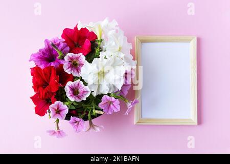 Rote, violette, rosa und weiße Petunia-Blüten auf einem rosa Hintergrund mit einem weißen Textrahmen Stockfoto