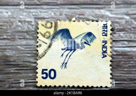 Kairo, Ägypten, August 15 2022: Alte gebrauchte indische Briefmarke gedruckt in Indien 1975 50p aus der Land-Motive-Serie zeigt gleitenden Vogel Virgin Cran Stockfoto