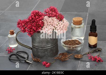 Baldrian Kräuterwurzel mit Blumen und Tinktur-Ölflaschen. Vorbereitung in der pflanzlichen Pflanzenmedizin zur Behandlung, Angst, Schlaflosigkeit, Kopfschmerzen, Wechseljahre verwendet Stockfoto