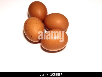 Vier braune Eier isoliert auf weißem Hintergrund Stockfoto