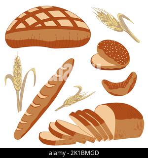 Satz von Backwaren. Brotsammlung. Laib rundes Roggenbrot, Burger-Brötchen, Baguette, französisches Croissant. Brot und Weizen Spikes. Vektorgrafik Stock Vektor