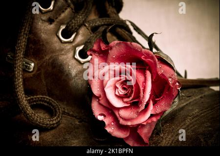 Rote Rosen mit altem Retro-Schuh im Vintage-Stil Stockfoto