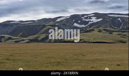 Das Lavafeld Laugahraun mit dem Vulkan Brennisteinsalda ist ein wildromantisches Trekkinggebiet in Landmannalaugar im Südwesten Islands Stockfoto