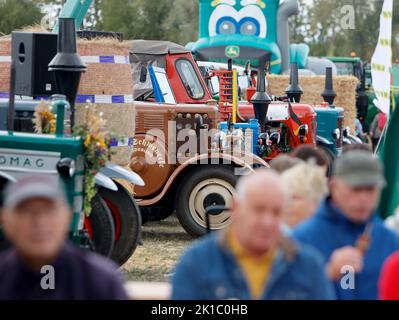 Magdeburg, Deutschland. 17. September 2022. Alte Traktoren stehen auf dem staatlichen Erntefest 27. in Magdeburg im Elbauenpark. Mehr als 200 Aussteller aus den Bereichen Landwirtschaft, Lebensmittelindustrie, Handwerk und Tourismus erwarten Tausende von Besuchern. Quelle: Matthias Bein/dpa/Alamy Live News Stockfoto