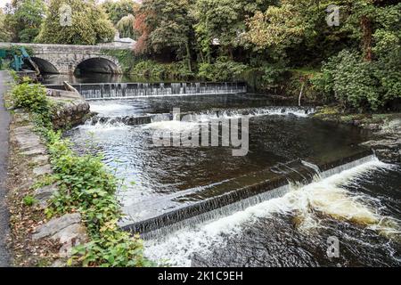 Der Fluss Tavy fließt unter einer Brücke und über kleine Dämme bei Tavistock. Stockfoto