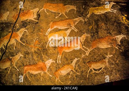 Höhlenmalerei, Linton Panel, ist eines der erstaunlichsten und fein detaillierten Beispiele von San-Felskunst aus dem südlichen Afrika, South African National Stockfoto