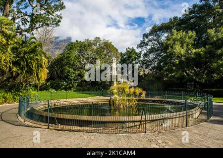 Kapstadt, Südafrika, Westkap Stockfoto