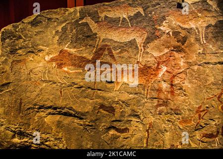 Höhlenmalerei, Linton Panel, ist eines der erstaunlichsten und fein detaillierten Beispiele von San-Felskunst aus dem südlichen Afrika, South African National Stockfoto