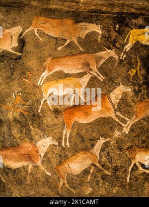 Höhlenmalerei, Linton Panel, ist eines der erstaunlichsten und fein detaillierten Beispiele von San-Felskunst aus dem südlichen Afrika, South African National Stockfoto