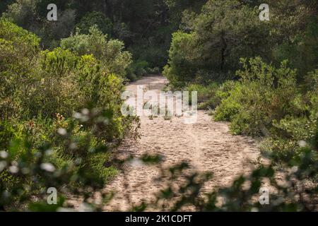 Sandstraße in S Estalella, S Estanyol, Llucmajor, Mallorca, Balearen, Spanien. Stockfoto