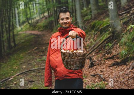 Mann in Outdoor-Kleidung hält einen Korb voller Pilze, vor allem Boletus edulis aus dem Herbstwald. September und Oktober. Suchen und Sammeln Stockfoto