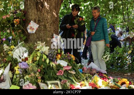 London, Großbritannien. 17. September 2022. Die Menschen sehen sich Blumengebete für die britische Königin Elizabeth nach ihrem Tod am 17. September 2022 im Green Park in London, Großbritannien, an. Foto von Thibaud Moritz/ABACAPRESS.COM Quelle: Abaca Press/Alamy Live News Stockfoto