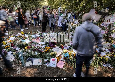 London, Großbritannien. 17. September 2022. Die Menschen sehen sich Blumengebete für die britische Königin Elizabeth nach ihrem Tod am 17. September 2022 im Green Park in London, Großbritannien, an. Foto von Thibaud Moritz/ABACAPRESS.COM Quelle: Abaca Press/Alamy Live News Stockfoto