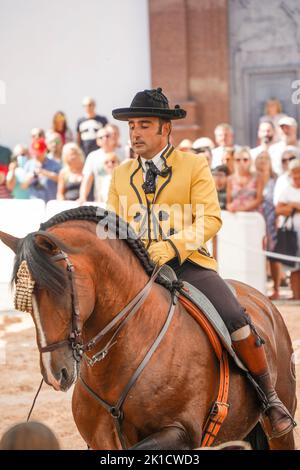 Mann, der während des jährlichen Pferdetags eine spanische Dressurreitshow durchführt. Fuengirola, Andalusien, Costa del Sol, Spanien. Stockfoto