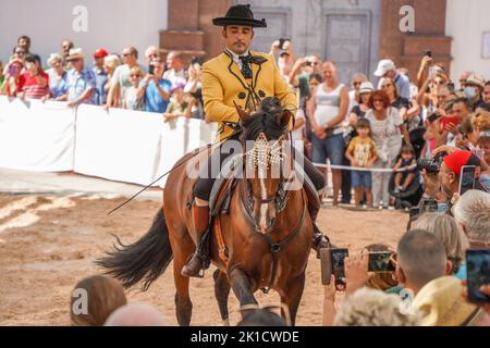 Mann, der während des jährlichen Pferdetags eine spanische Dressurreitshow durchführt. Fuengirola, Andalusien, Costa del Sol, Spanien. Stockfoto