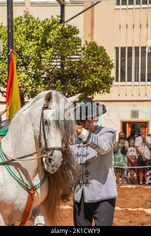 Mann, der während des jährlichen Pferdetags eine spanische Dressurreitshow durchführt. Fuengirola, Andalusien, Costa del Sol, Spanien. Stockfoto