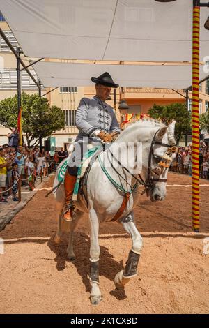 Mann, der während des jährlichen Pferdetags eine spanische Dressurreitshow durchführt. Fuengirola, Andalusien, Costa del Sol, Spanien. Stockfoto