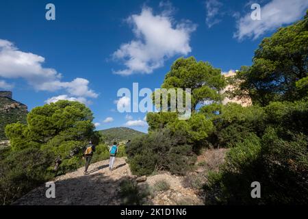 Turmform-Taubenschlag, Na Miranda, Naturpark Sa-Dungarera, Mallorca, Balearen, Spanien. Stockfoto