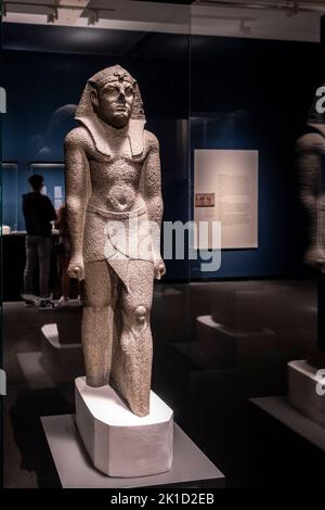 Unvollendete Statue eines ptolemäischen pharao, Basalt, ptolemäische Dynastie, 305-30 v. Chr., möglicherweise von Athribis, Ägypten, Sammlung des British Museum. Stockfoto