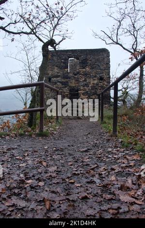 Trechtingshausen, Deutschland - 20. Dezember 2020: Pfad mit Blättern, der bei einem nebligen Sturz zu einem Aussichtsturm über dem Rheinufer auf Schloss Rheinstein führt Stockfoto