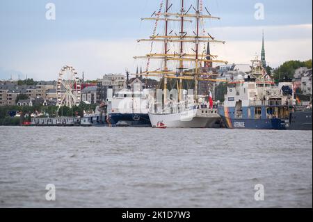 Hamburg, Deutschland. 17. September 2022. Traditionelle Segelschiffe und Schiffe der Bundespolizei, des Zolls und der Küstenwache werden an den Anlegestellen auf der Elbe festgemacht. Quelle: Jonas Walzberg/dpa/Alamy Live News Stockfoto