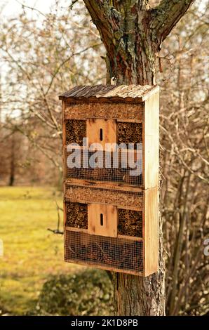Ein hölzernes Insektenhaus oder Insektenhotel, das an einem Baum in Frankfurt, Germa, hängt Stockfoto