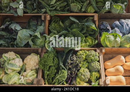 Frische, biologische Produkte aus grünem Blattgemüse und Butternusskürbis, die auf einem Bauernmarkt auf dem Land im Freien in Schottland, Großbritannien, zu sehen sind. Stockfoto