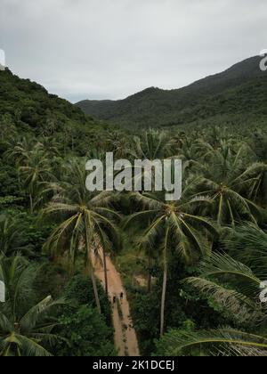 Eine vertikale Drohnenansicht eines schmalen Weges durch einen tropischen Dschungel, der zum Bottle Beach, Koh Phangan, Thailand führt Stockfoto