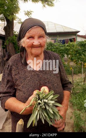 Greci, Kreis Tulcea, Rumänien, 2000. Eine ältere Frau in ihrem Gemüsegarten, die einen Strauß Salbei und einige Äpfel in der Hand hält. Stockfoto