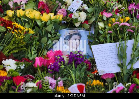 London, Großbritannien. 17. September 2022. Im Hyde Park, London, wurden Blumen für Queen Elizabeth II als Überlauf für den Green Park gestutzt. Da die Anzahl der Besucher die Erwartungen beim Anblick und Platzieren von Blumenschmuck übertraf, musste Green Park am Samstag mehrmals schließen, was viele Besucher enttäuschte, sodass im Hyde Park ein neuer Bereich begonnen wurde, der viel zugänglicher und weniger überfüllt war. Kredit: Paul Brown/Alamy Live Nachrichten Stockfoto