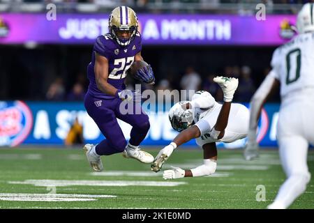 Seattle, WA, USA. 17. September 2022. Washington Huskies läuft zurück Cameron Davis (22) bricht während der ersten Hälfte des NCAA-Fußballspiels zwischen den Washington Huskies und den Michigan State Spartans im Husky Stadium in Seattle, WA, ein Tackle. Steve Faber/CSM/Alamy Live News Stockfoto