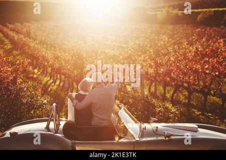 Es gibt einen anderen Weinberg auf diese Weise. Rückansicht eines älteren Paares mit Blick auf die Weingebiete. Stockfoto