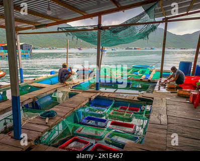 Zwei Männer sitzen auf einem schwimmenden Dock, einer putzt Fische, der andere blickt auf die Bucht. Stockfoto