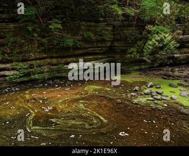 Im Matthiessen State Park, LaSalle County, Illinois, wirbelt das Wasserbecken „The Giant's Bathtub“ langsam Stockfoto