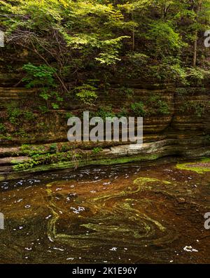 Im Matthiessen State Park, LaSalle County, Illinois, wirbelt das Wasserbecken „The Giant's Bathtub“ langsam Stockfoto