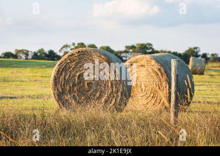 Konzentrieren Sie sich auf einen hölzernen Zaunpfosten mit großen runden Ballen auf dem Feld dahinter. Stockfoto