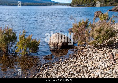 Lake St. Clair Australien, am Wasser mit kleinen Bäumen und Felsen Stockfoto