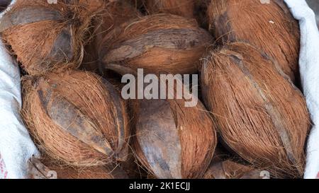 Stapel Kokosnüsse Schale auf dem Lebensmittelmarkt von Indien. Bund von brauner Kokosnuss zusammen gestapelt. Stockfoto